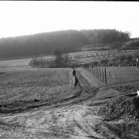 12_orig