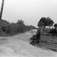 71_orig