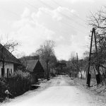 82_orig