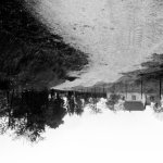 96_orig