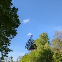 PXL_20250430_150321320