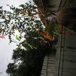 P8140067