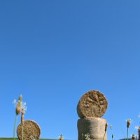 PXL_20240730_124444753
