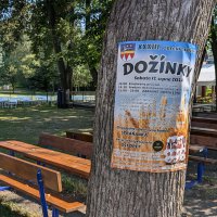 PXL_20240816_081055516