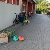 PXL_20240816_153122225