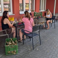 PXL_20240816_153130543