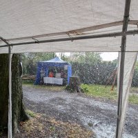 PXL_20240817_123438074