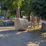 PXL_20260815_064816859