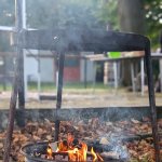 PXL_20240928_055949351.PORTRAIT