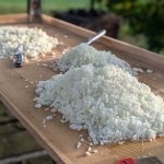 PXL_20240928_060204620.PORTRAIT