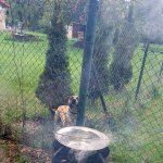 PXL_20250927_074107584