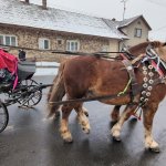 PXL_20260131_133612852