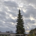 PXL_20231114_062705908
