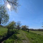 PXL_20260418_131449818