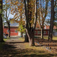 PXL_20231101_105300629