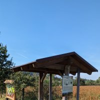 PXL_20230929_123345402