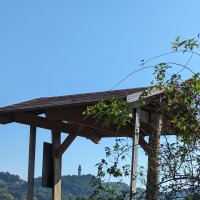 PXL_20230929_123548252