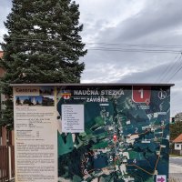 PXL_20231020_143111410