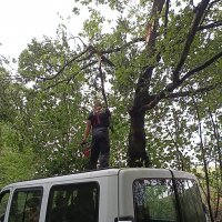 IMG-20240916-WA0013