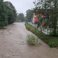 PXL_20240914_111207169