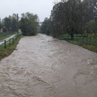 PXL_20240914_111212808