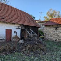 PXL_20240915_145250803