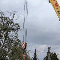 PXL_20240916_124345446