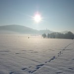 P1020503