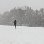 PXL_20231202_085529226